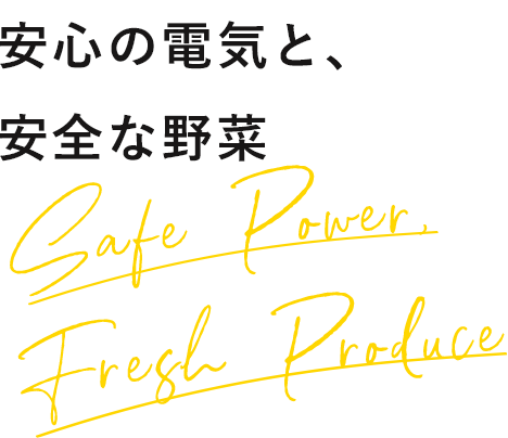 安心の電気と、安全な野菜